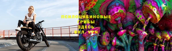 марки nbome Верея