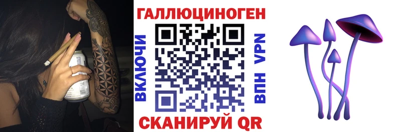 Купить где  Пласт  Галлюциногенные грибы MAGIC MUSHROOMS 