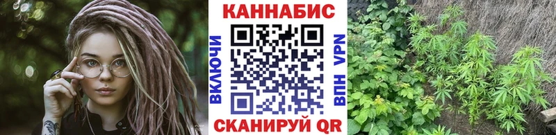 Купить закладки  Пласт  Каннабис индика 